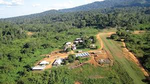 Columbus Gold says French Guiana project safe with new Paris mining delegate