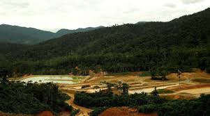 Drummond’s union leader attacked by gunmen in Colombia
