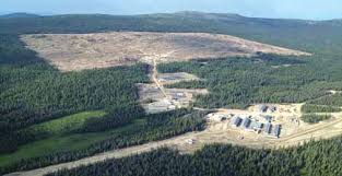 New Gold vende il progetto Blackwater ad Artemis per 140 milioni di dollari