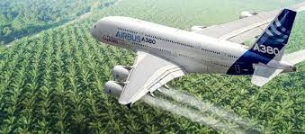 Olio di palma: l’Indonesia testa l’utilizzo mescolato con carburante per jet