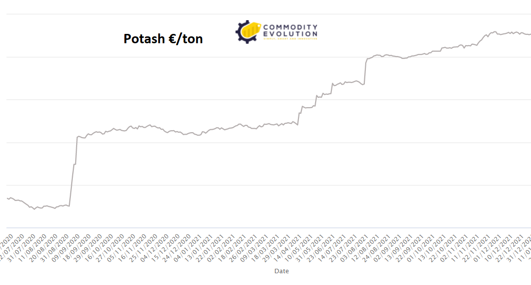 Potassio: le sanzioni Usa possono spingere la Bielorussia nelle braccia di Putin