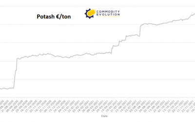 Potassio: le sanzioni Usa possono spingere la Bielorussia nelle braccia di Putin