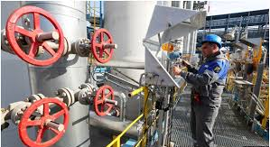 Gas: la CE deve preparare piani di riduzione della domanda in vista di un possibile blocco delle forniture russe