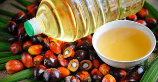 Palm oil: Indonesian parliamentarians call for review of export ban