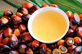 Palm oil: MEOA warns of possible future losses due to severe labor crisis