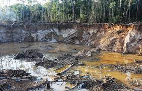Ecuador: illegal mining is a threat to national security