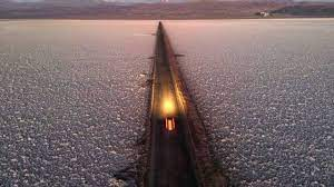 Lithium: Chile wants to start negotiations with Albemarle soon