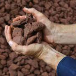 China imported 481 million tonnes of iron ore
