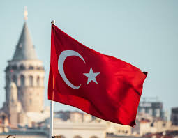 Iron ore: imports into Turkey fell by 32.3% in January-May