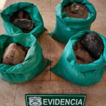 Eleven people were arrested stealing of copper from Escondida