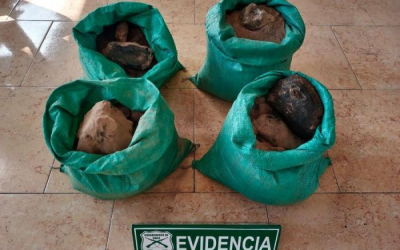 Chilean police stop a copper theft in Escondida