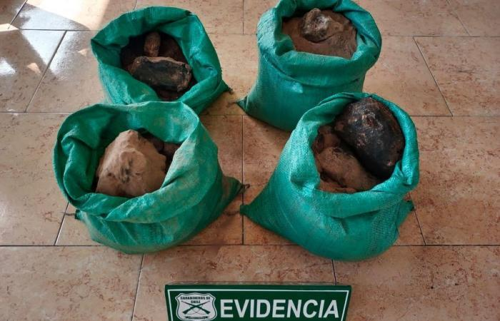 Chilean police stop a copper theft in Escondida