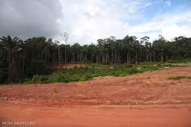 Bauxite: il progetto del Suriname potrebbe attirare l’interesse di aziende indiane e cinesi