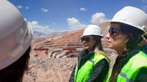 Minerali critici: incontro tra i funzionari argentini e tedeschi