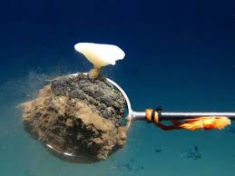 Discovery in Japan: A New Frontier for Deep-Sea Metal Mining